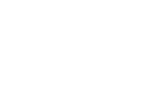 Max Branding