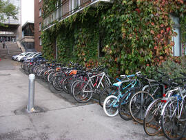 The Arts Building and The Muirhead Tower