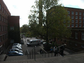 View from the Muirhead Tower of the Arts Building (Left), the Main Library (Right)  and the Clock Tower